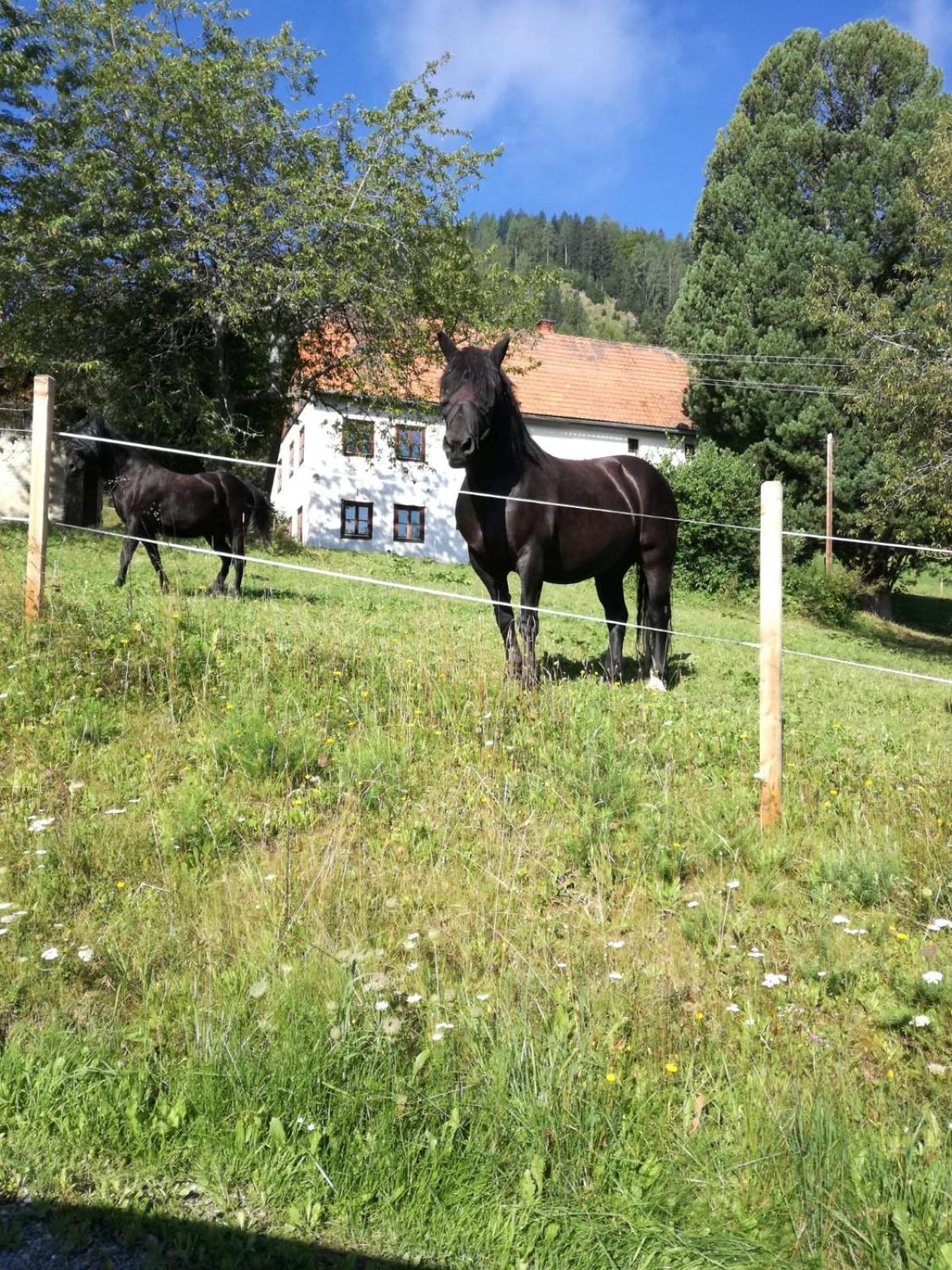 Chalet Bergblick Sankt Blasen Exteriör bild